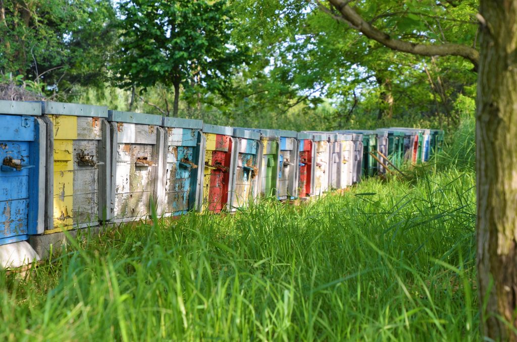 Beekeeping Barrier Management System - Optimizing with BeeKeepPal